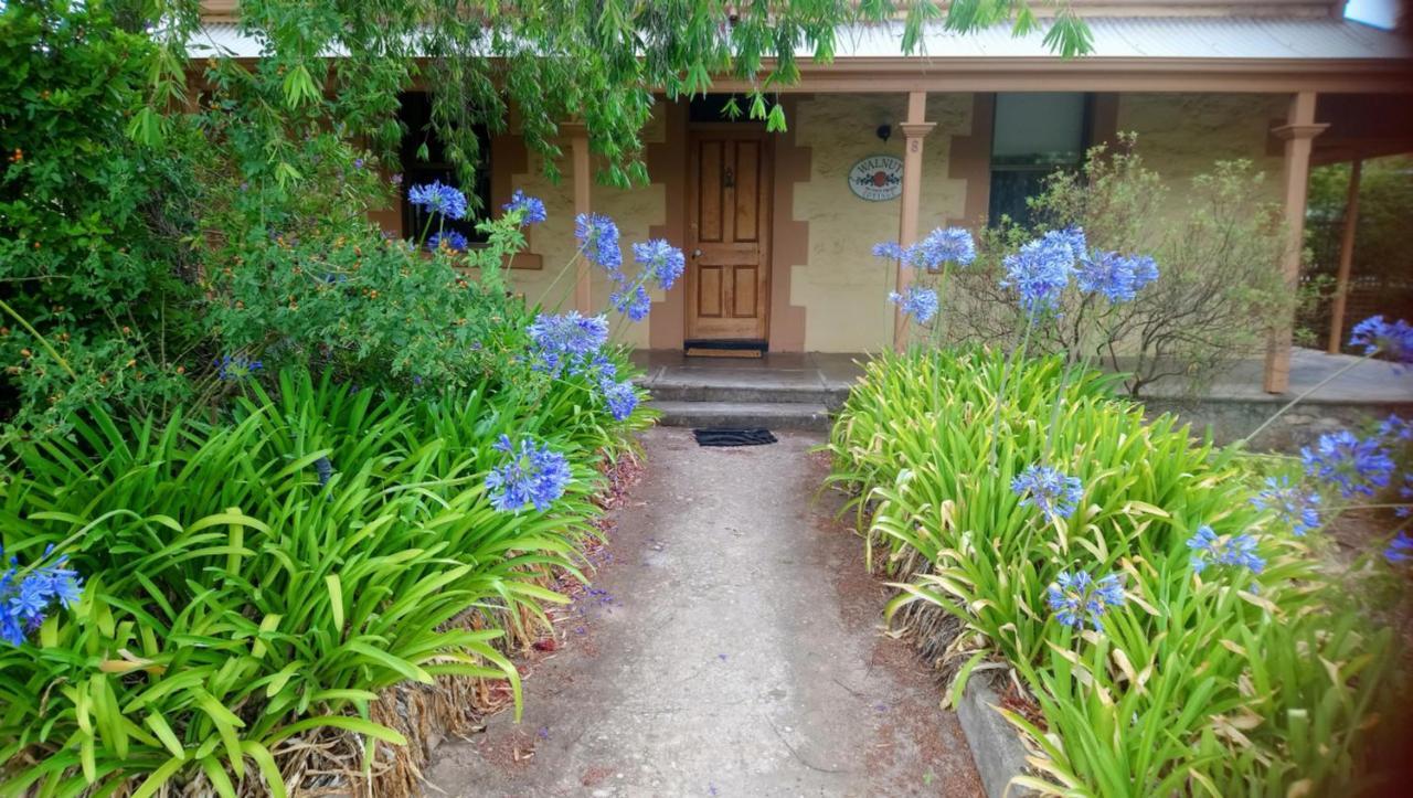 Walnut Cottage Angaston Ngoại thất bức ảnh