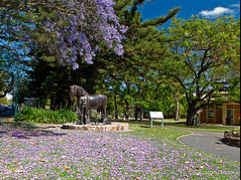Walnut Cottage Angaston Ngoại thất bức ảnh